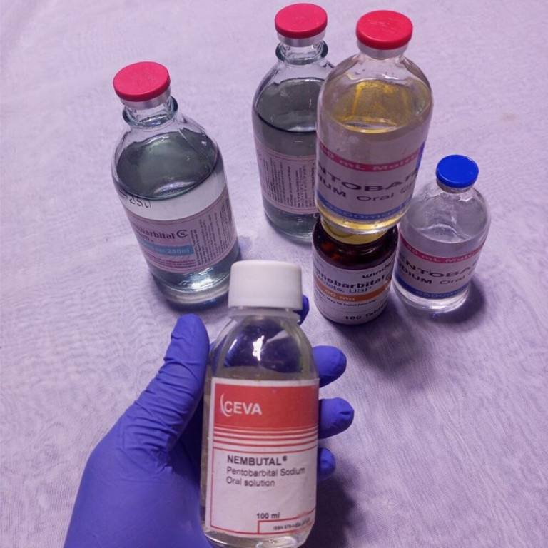 Acquista Nembutal, Cocaina e Anfetamina online (WhatsApp: +447386364678)
